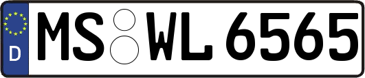 MS-WL6565