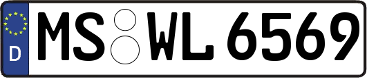 MS-WL6569