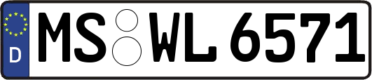 MS-WL6571