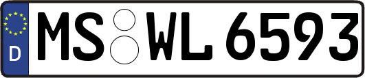 MS-WL6593