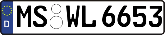 MS-WL6653