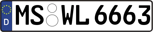 MS-WL6663