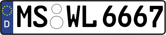 MS-WL6667