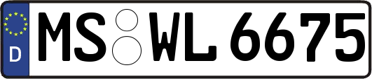 MS-WL6675