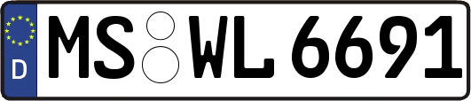 MS-WL6691