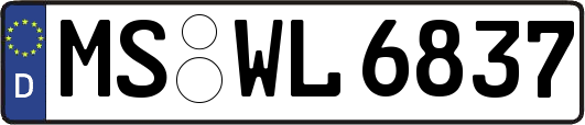 MS-WL6837