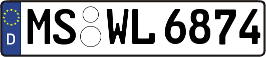 MS-WL6874