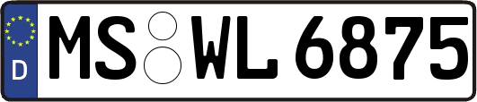 MS-WL6875