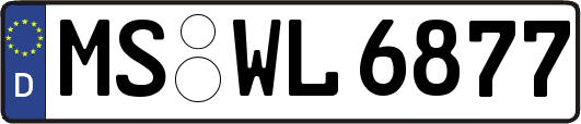 MS-WL6877