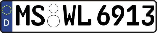 MS-WL6913