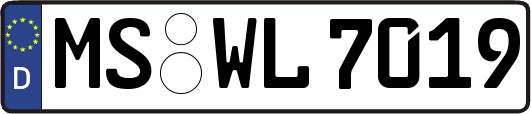 MS-WL7019