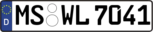 MS-WL7041