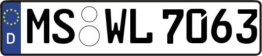 MS-WL7063