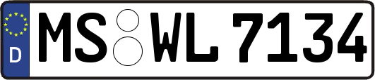 MS-WL7134