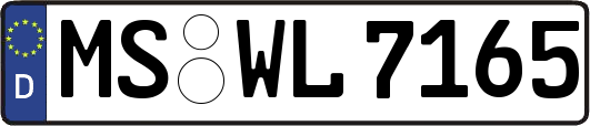 MS-WL7165
