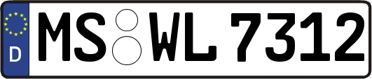 MS-WL7312