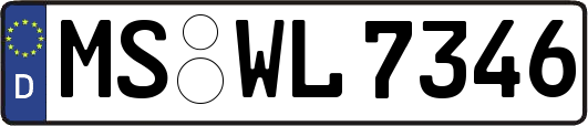 MS-WL7346