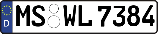 MS-WL7384