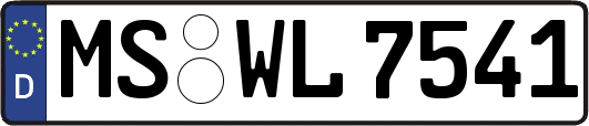 MS-WL7541