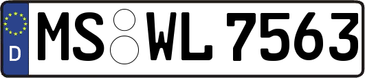 MS-WL7563