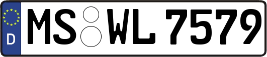 MS-WL7579