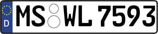 MS-WL7593