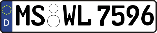 MS-WL7596