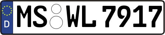 MS-WL7917