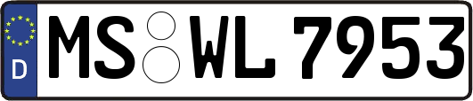 MS-WL7953