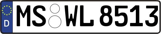 MS-WL8513