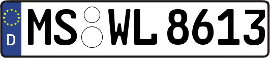 MS-WL8613