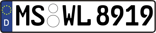 MS-WL8919