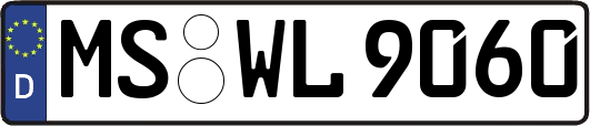 MS-WL9060