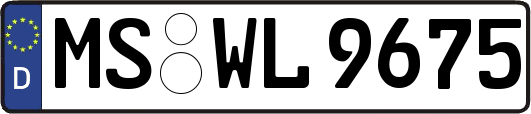MS-WL9675