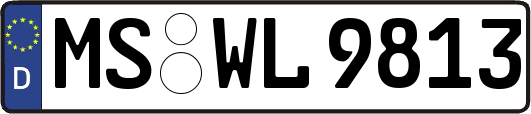 MS-WL9813