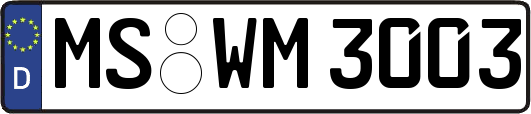 MS-WM3003
