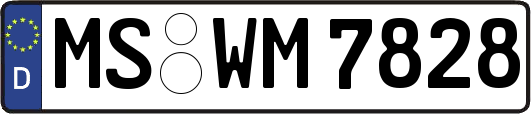 MS-WM7828