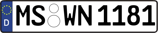 MS-WN1181