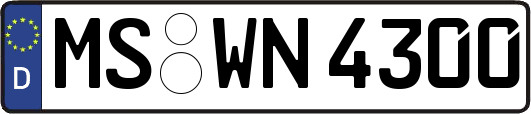 MS-WN4300