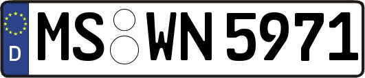 MS-WN5971