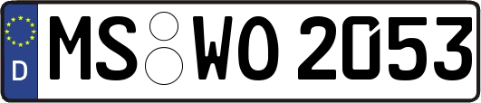 MS-WO2053