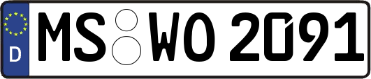 MS-WO2091