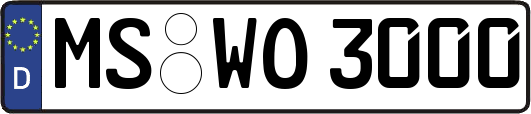 MS-WO3000