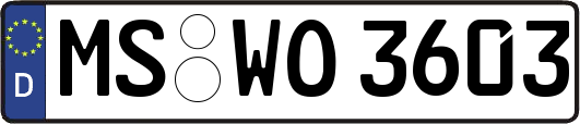 MS-WO3603