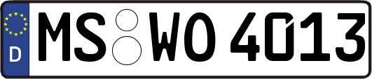 MS-WO4013