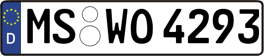 MS-WO4293