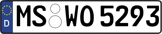 MS-WO5293