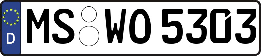 MS-WO5303