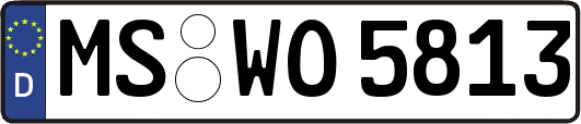 MS-WO5813