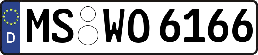 MS-WO6166